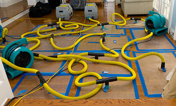Professional Structural Drying And Dehumidification technician working in Sumner, IL